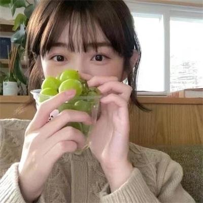 山狗 海报