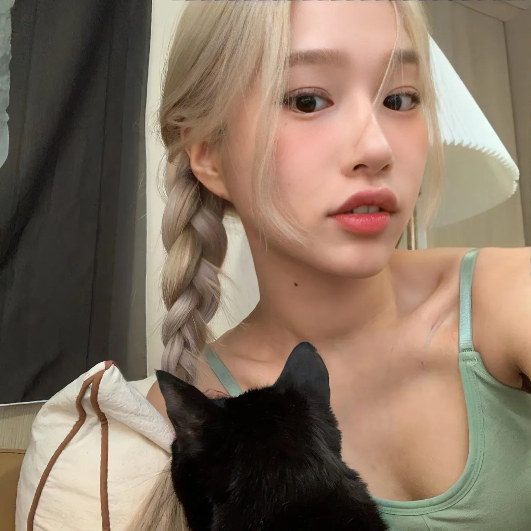 偷龙转猫 海报
